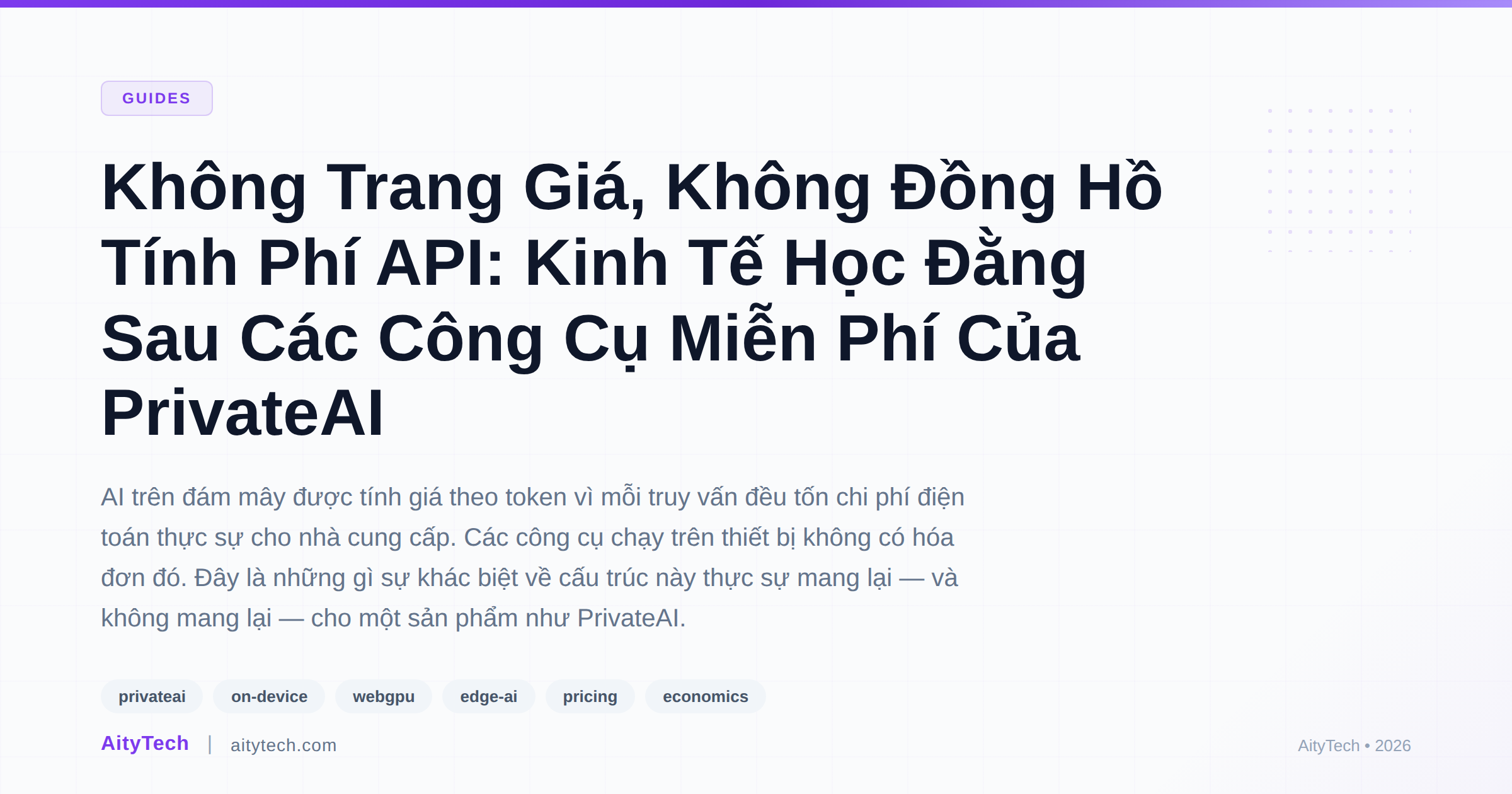 Không Trang Giá, Không Đồng Hồ Tính Phí API: Kinh Tế Học Đằng Sau Các Công Cụ Miễn Phí Của PrivateAI